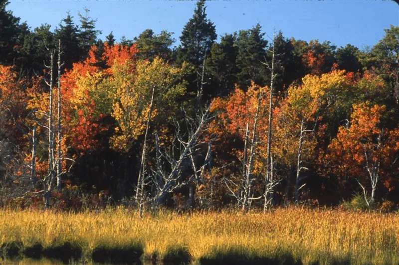 Wanderweg mit Schildern