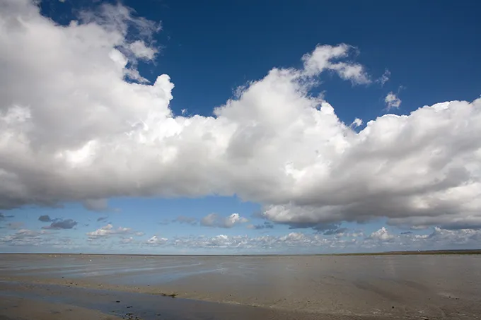 Wattenmeer bei Paesens (Niederlande): Bedrohtes Ökosystem durch Schifffahrt, Energie- und Klimakrise, das durch LNG-Terminals zusätzlich belastet wird.