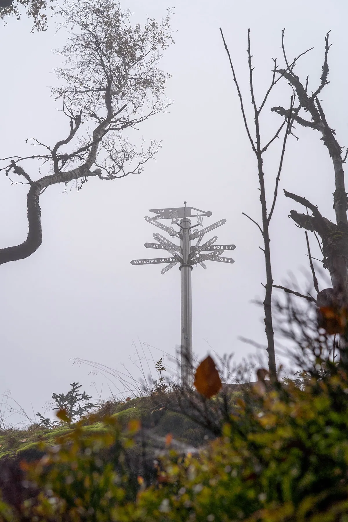 Wegweiser Schilder im dichten Nebel am Kaitersberg