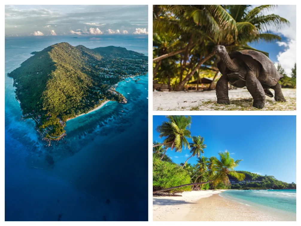 Weiße Sandstrände und türkisfarbenes Meer auf der Insel La Digue, Seychellen