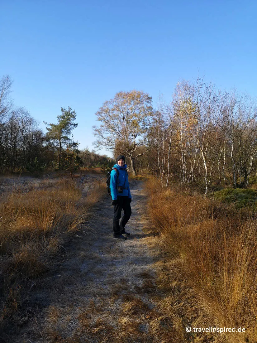 Weite Moorlandschaft mit Spiegelungen in der Molberger Dose