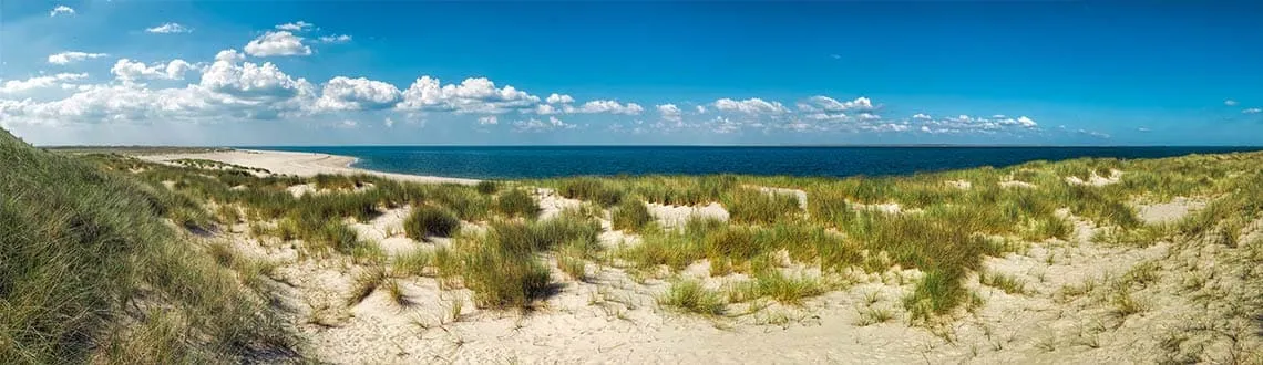 Weitläufige Dünenlandschaft an der Nordseeküste, ideal für Spaziergänge am Hundestrand in Norddeutschland