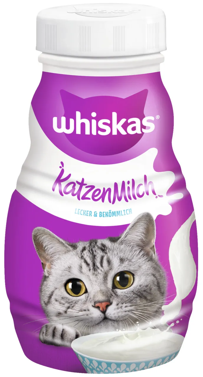 Whiskas Katzenmilch 200 ml – Packung mit laktosereduzierter Milch und grauer Katze
