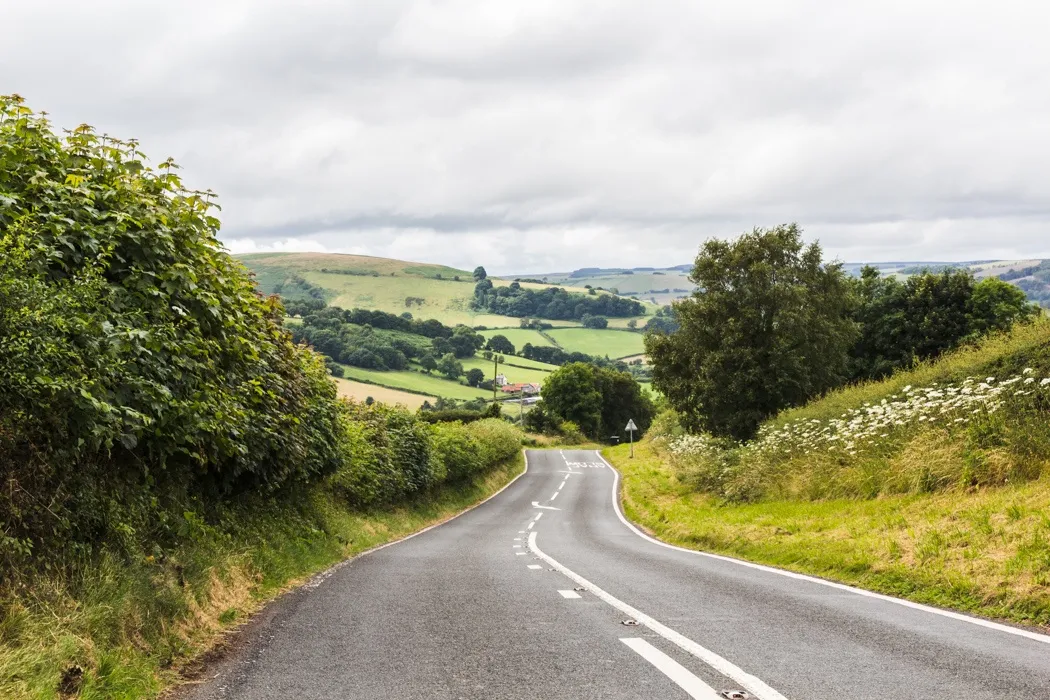 Windschiefer Baum im Brecon Beacons Nationalpark