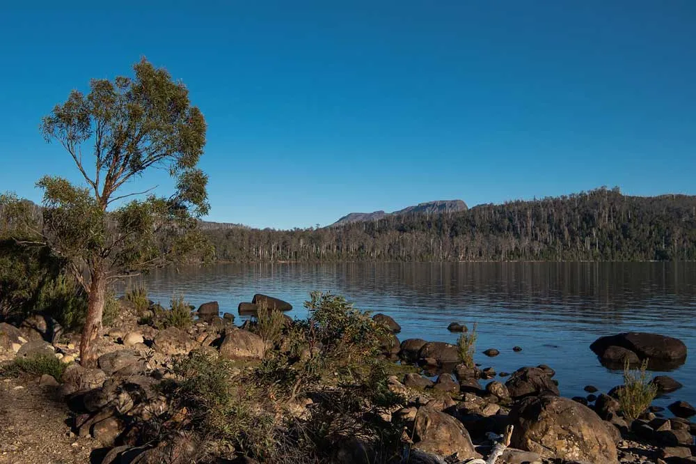 Wineglass Bay in Tasmanien, ein sichelförmiger Strand mit türkisfarbenem Wasser