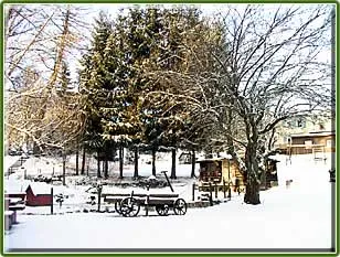 Winterliche Ansicht des Parks vom Hotel zur Erholung im Harz