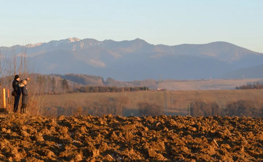 Winterliche Landschaft in Deutschland vor Silvester