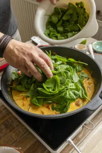 Zutaten für das Kürbis-Curry im Wok.