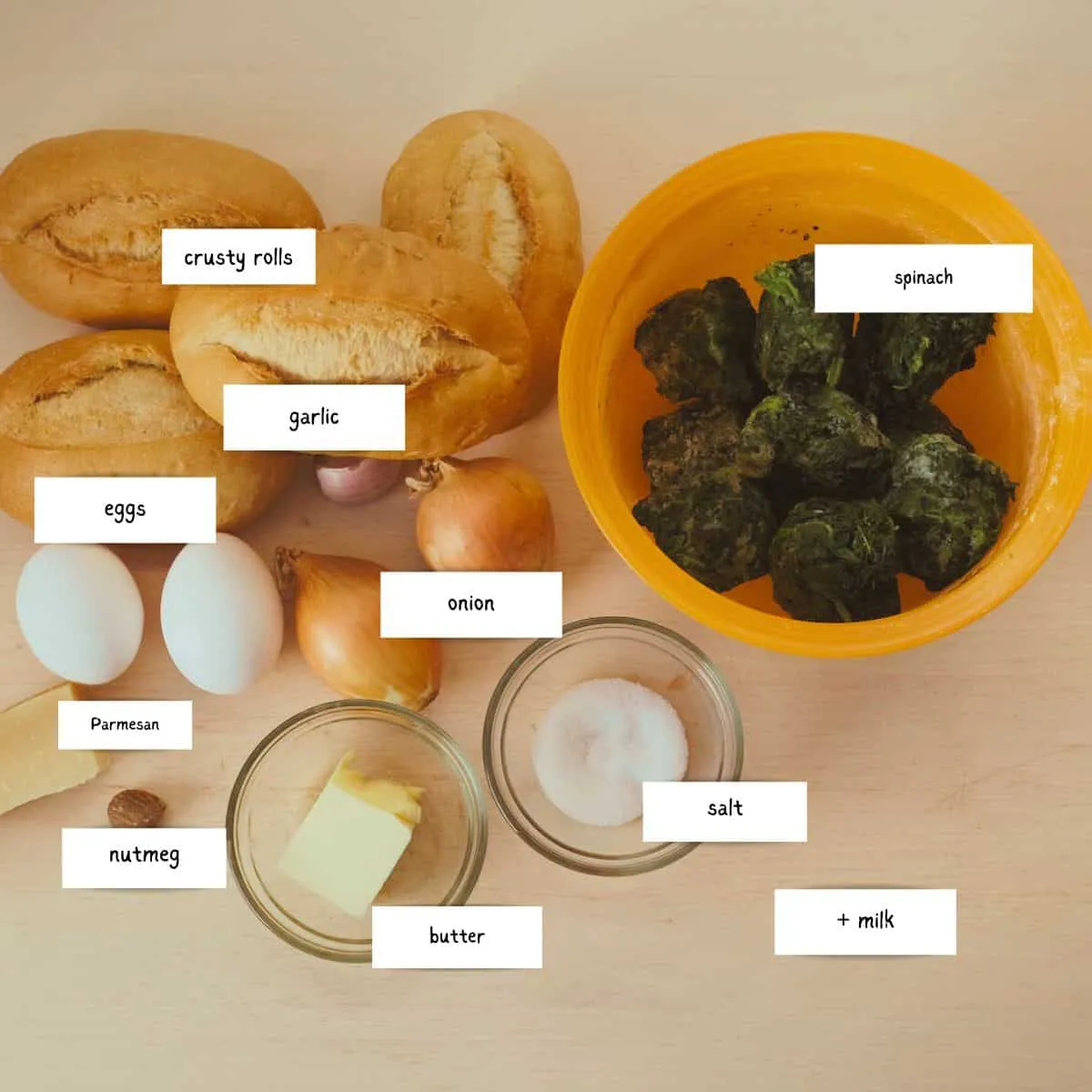 Zutaten für hausgemachte Spinatknödel: Brot, Spinat, Eier, Milch, Zwiebel, Knoblauch, Parmesan