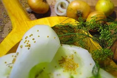 Zutaten für traditionelle Spreewälder Küche und frische Kräuter auf einem Holztisch, symbolisch für die regionalen Kochkurse.