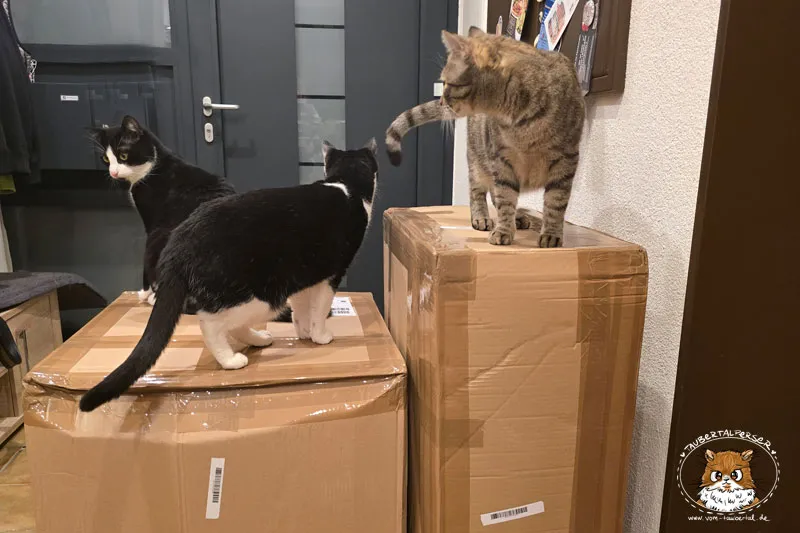 Zwei große Pakete von Kirstins Kratzbäume nach schneller Lieferung