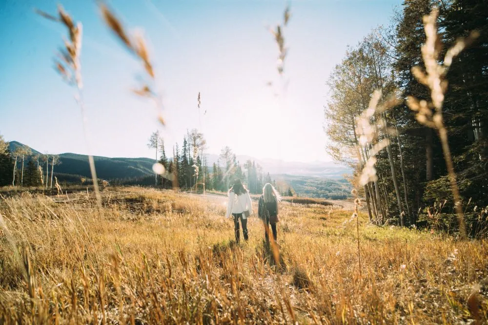 Zwei Personen, Hand in Hand, spazieren durch ein sonnendurchflutetes Feld mit hohem Gras in Colorado, umgeben von Bäumen und Bergen unter einem klaren, blauen Himmel, was eine friedliche und warme Szene ergibt.