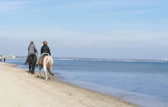 Zwei Pferde reiten am Strand von Timmendorfer Strand entlang