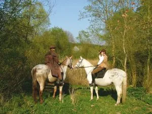 Zwei Reiterinnen auf Pferden genießen einen Ausritt durch die malerische Landschaft beim Wanderreiten im Wendland