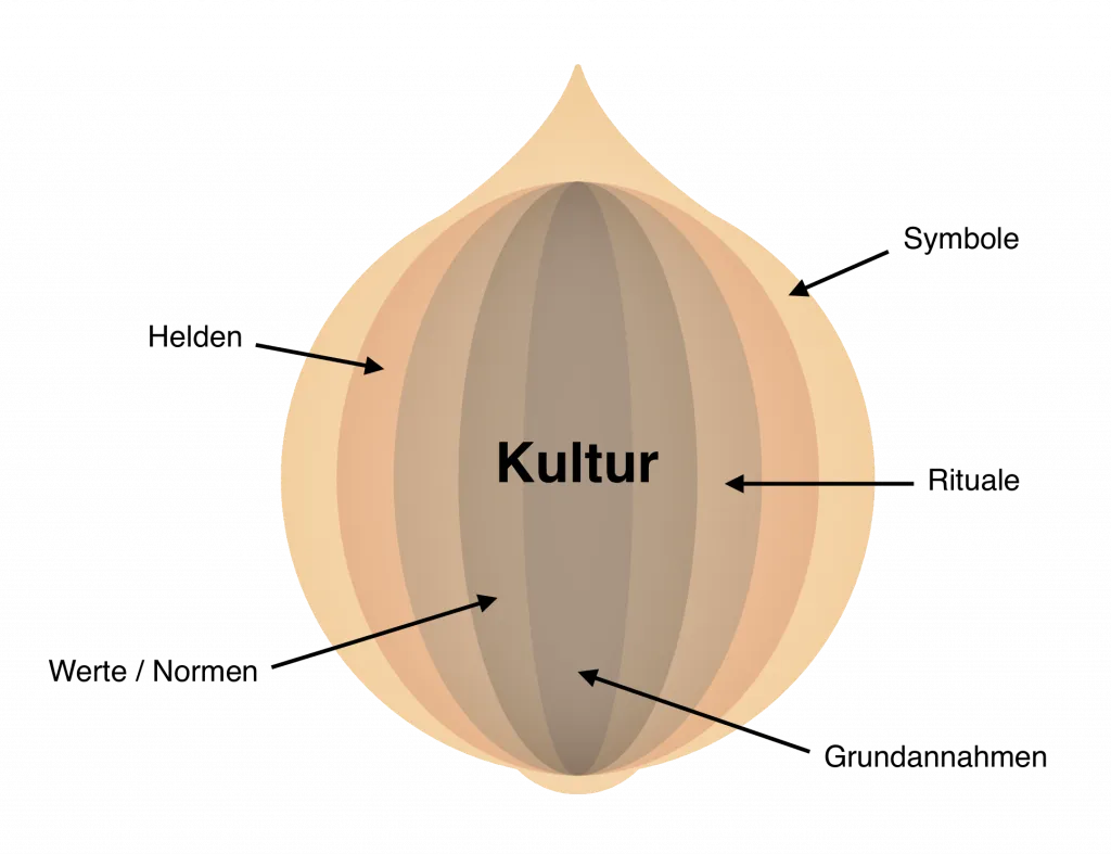 Zwiebelmodell der Kultur