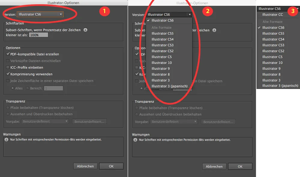 Adobe Illustrator Speicheroptionen mit Auswahl der Programmversion (CS6, CC) und Dateiformate, illustrierend die Kompatibilitätseinstellungen