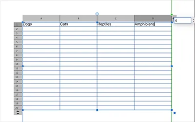 Affinity Publishers Tabelleneditor.