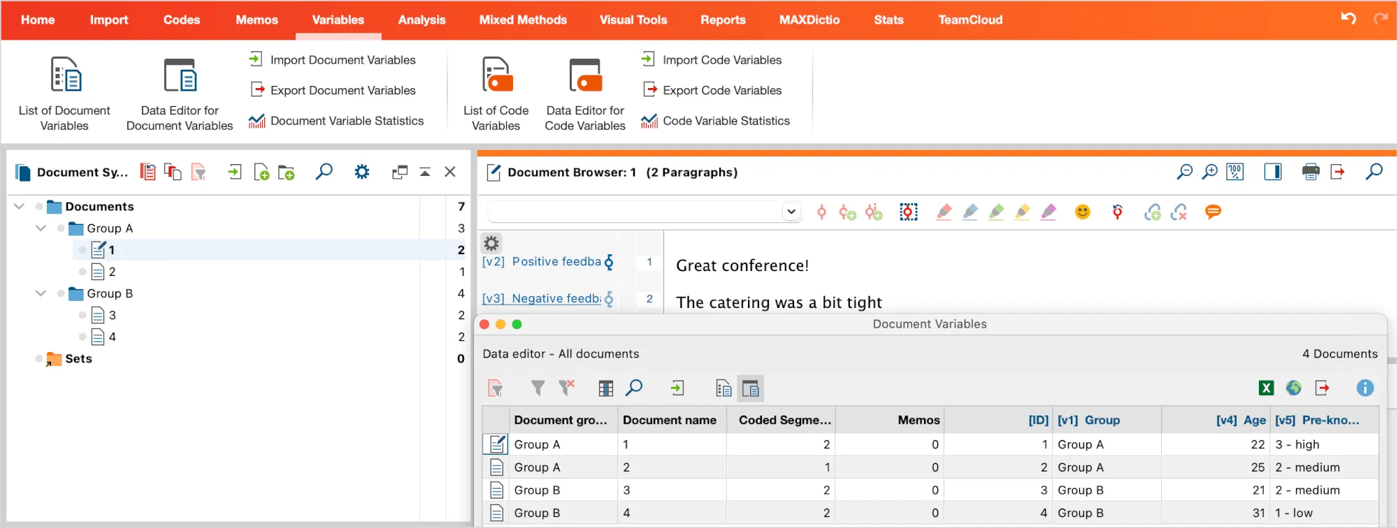 Ansicht der importierten Umfragedaten in MAXQDA mit Dokumenten und Variablen