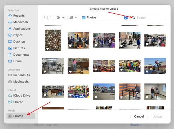 Ansicht des Medienbrowsers unter macOS zur Auswahl von Bildern für den Export oder die Verwendung in externen Diensten wie Shutterfly