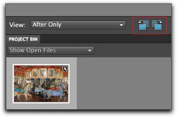 Ansichtsoptionen und Rotationssymbole im Schnell- oder Assistenten-Modus von Elements 9