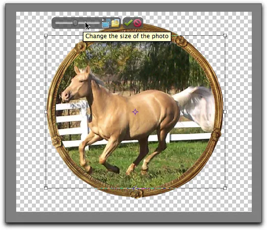 Anwenden eines Rahmens auf ein Foto in Photoshop Elements 9 mit Größenanpassungsreglern
