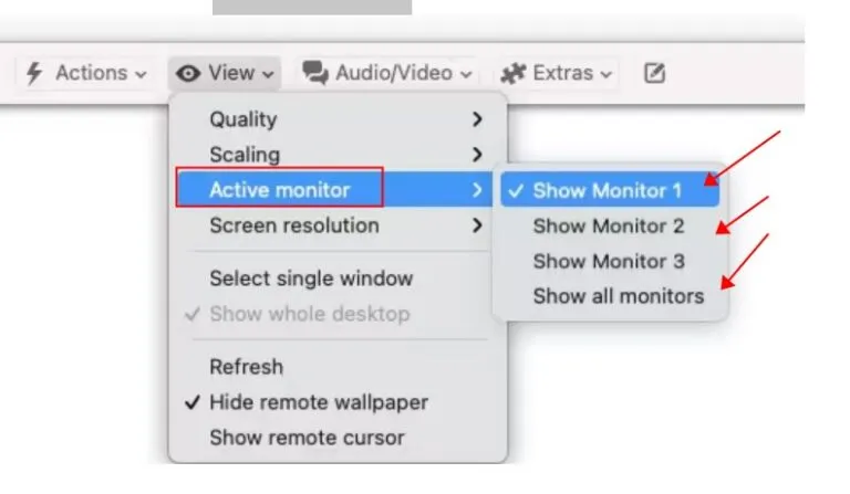 Auswahl bestimmter oder aller Monitore in TeamViewer für macOS