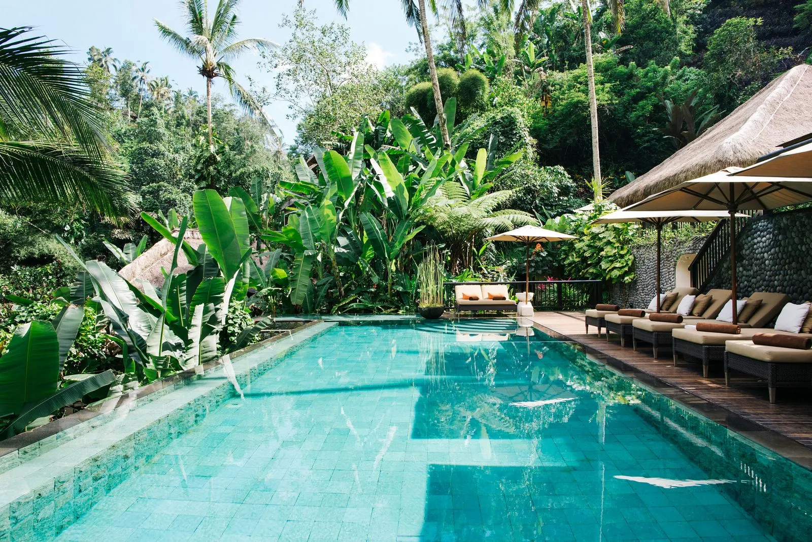 Balis grüne Reisterrassen bei Ubud, ein idyllisches Paradies im November