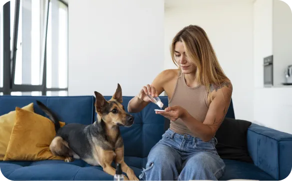 Banner für Nahrungsergänzungsmittel, die das Immunsystem von Hunden stärken