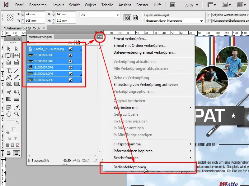 Bedienfeldoptionen für Verknüpfungen in InDesign anpassen