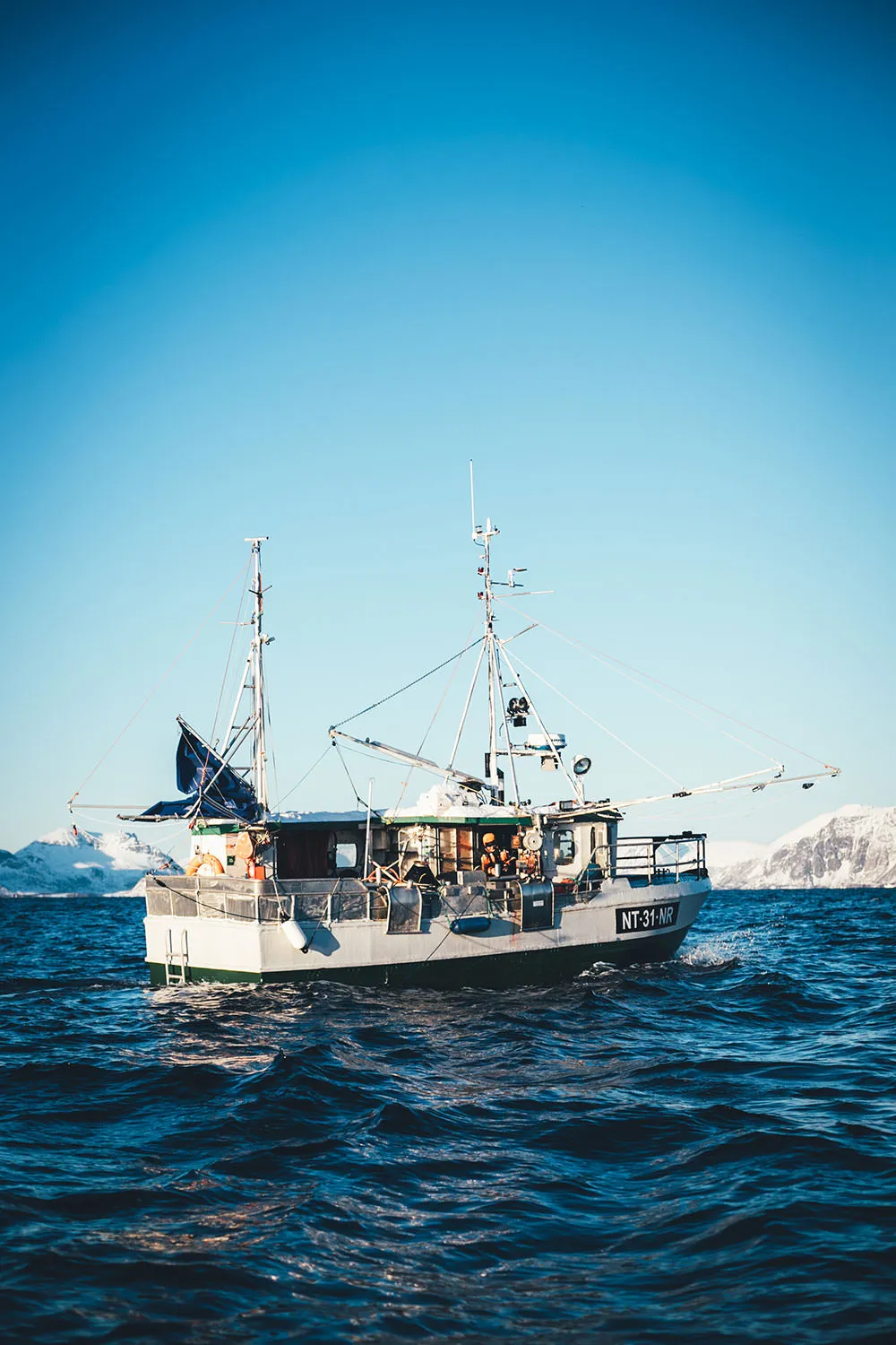 Beim Skreifischen in Lofoten (Norwegen) | moeyskitchen.com