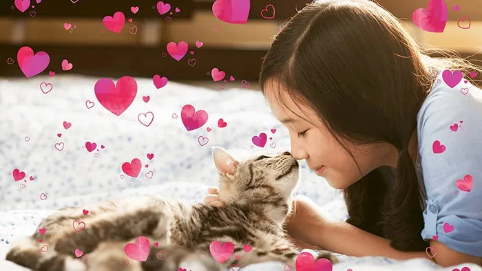 Beispiel für den Musterpinsel-Effekt in Photoshop Elements 2020, der ein Foto mit kreativen Mustern verschönert.