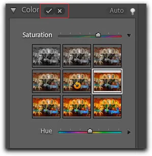 Bestätigen, Abbrechen und Hilfesymbol im Schnellbearbeitungsmodus von Photoshop Elements 9
