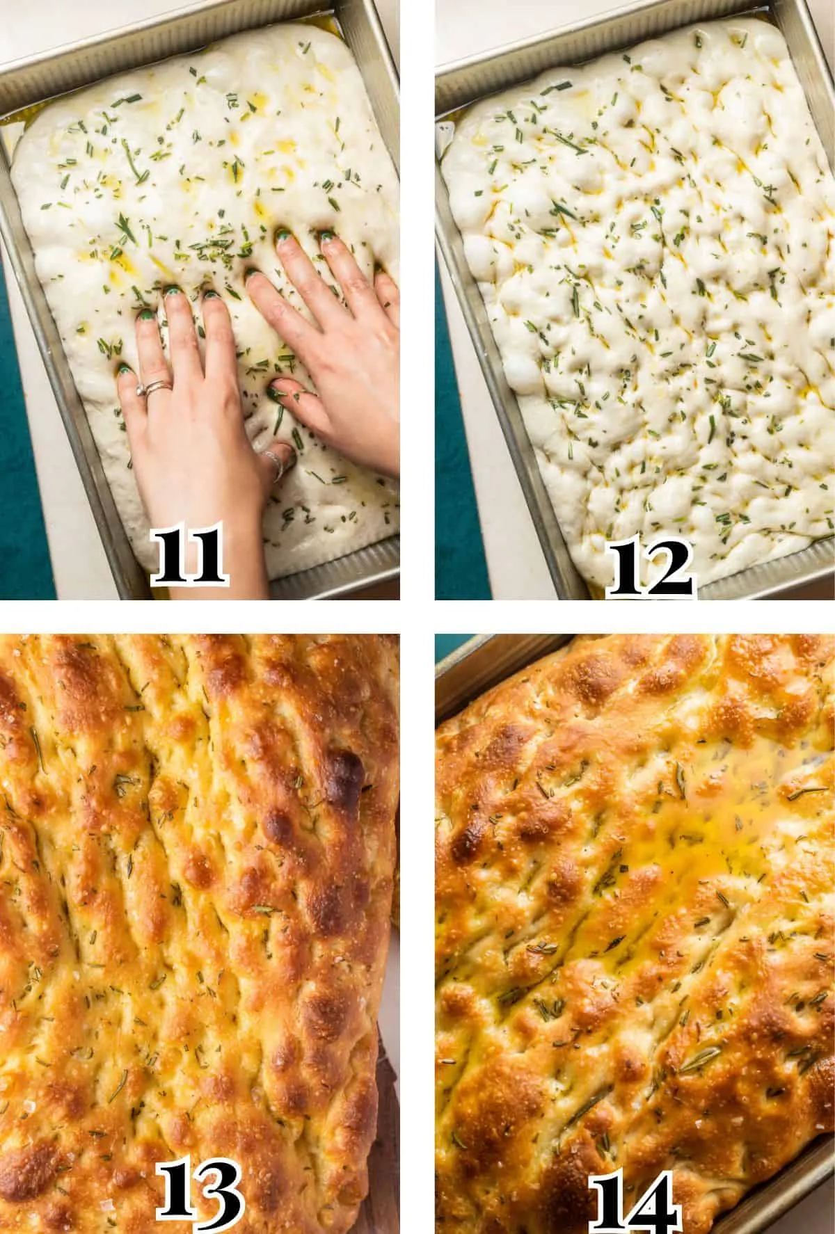 Bilderreihe: Focaccia-Teig wird gedimpled und gebacken.