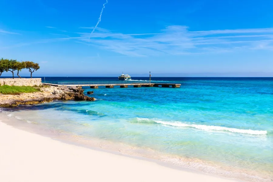 Blühende Orangenbäume in Sóller, Mallorca, im Frühling. Die Bäume tragen zahlreiche Früchte und Blüten, umgeben von grünen Blättern und mediterraner Landschaft.