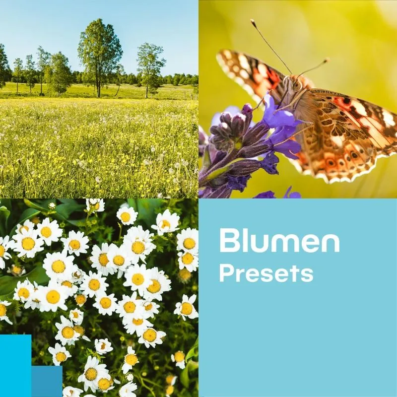 Blumen-Fotografie optimieren mit Zoner Photo Studio Presets kostenlos