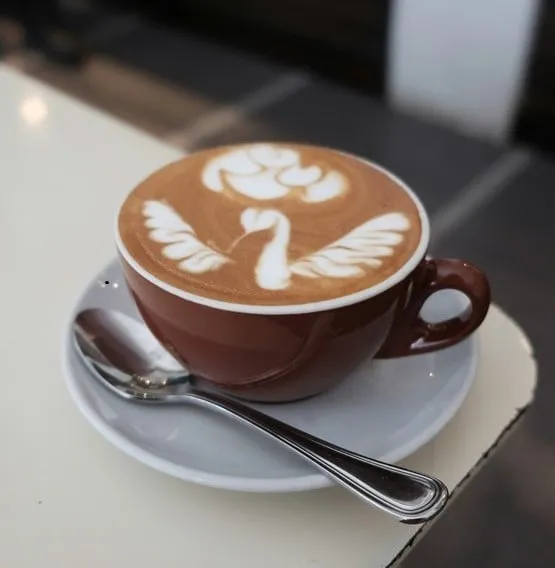 Cappuccino mit Latte Art Muster aus der Siebträger Kaffeemaschine