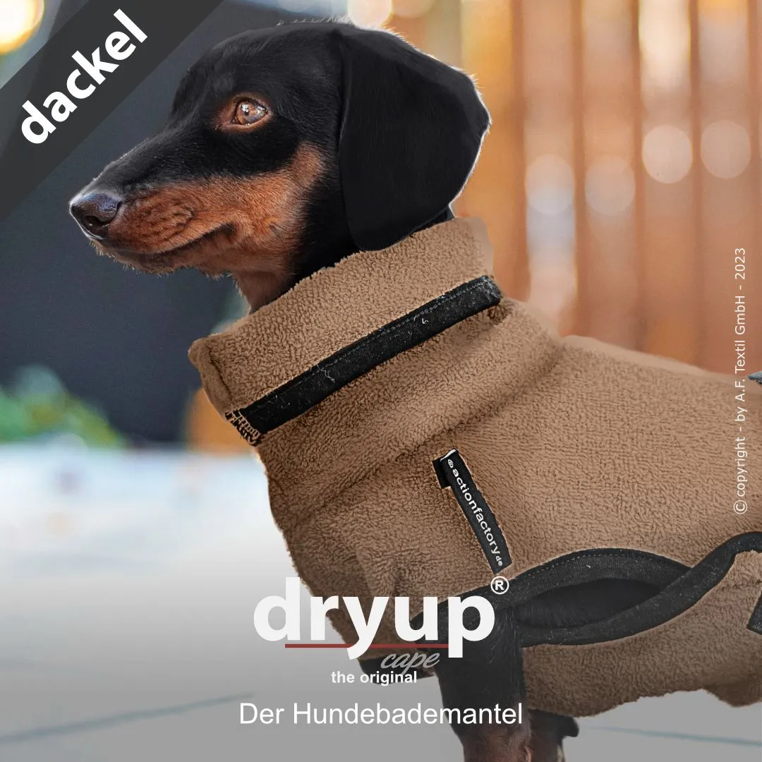 Dackel in dryup cape coffee Hundebademantel beim Trocknen