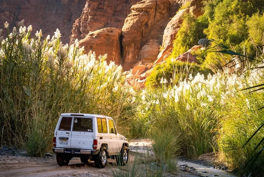 Der Canyon und die Oasenstadt Wadi Al Disah, ein Highlight für Naturliebhaber.