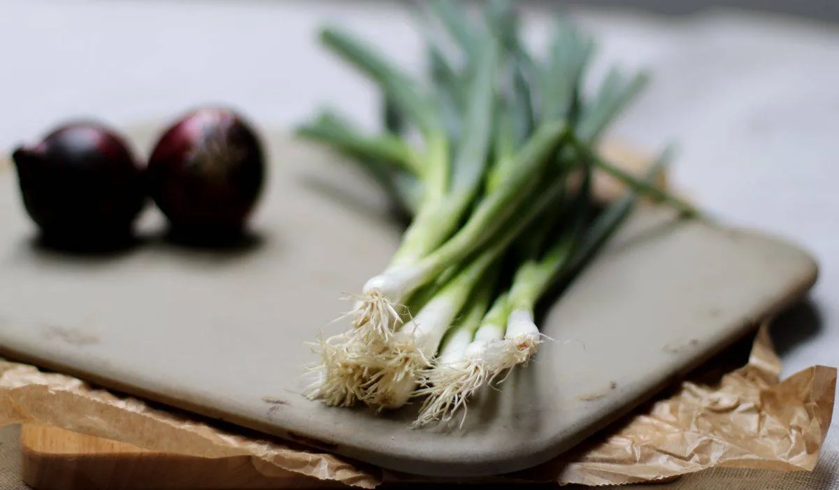 Der Flammkuchenteig mit der Schmandmischung bereit für den Backofen, auf einem Pizzastein