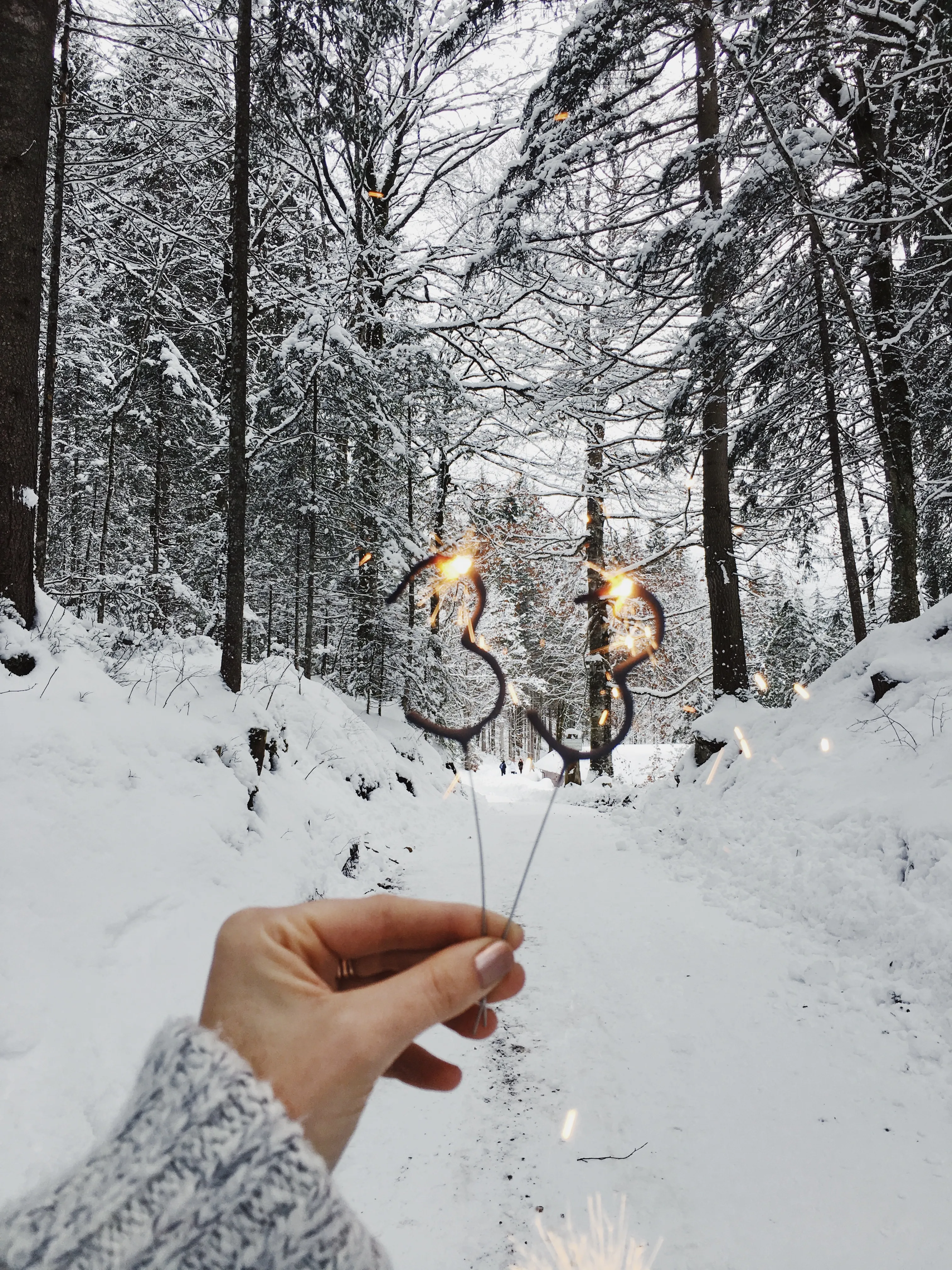 Der Geburtstagskuchen im idyllischen, verschneiten Winterwald am Eibsee