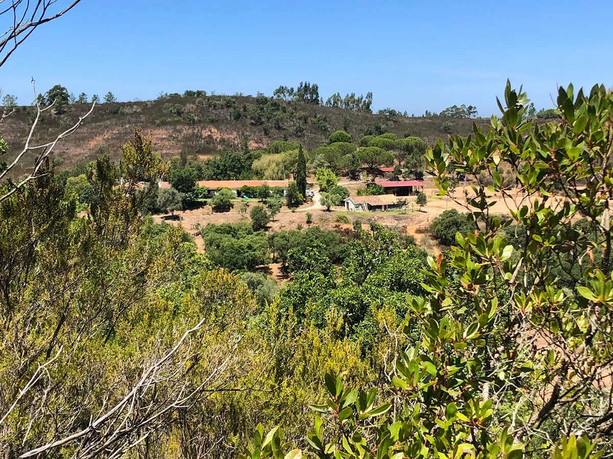 Der malerische Hof von Sofia von Mentzingen mit seinen Eseln.