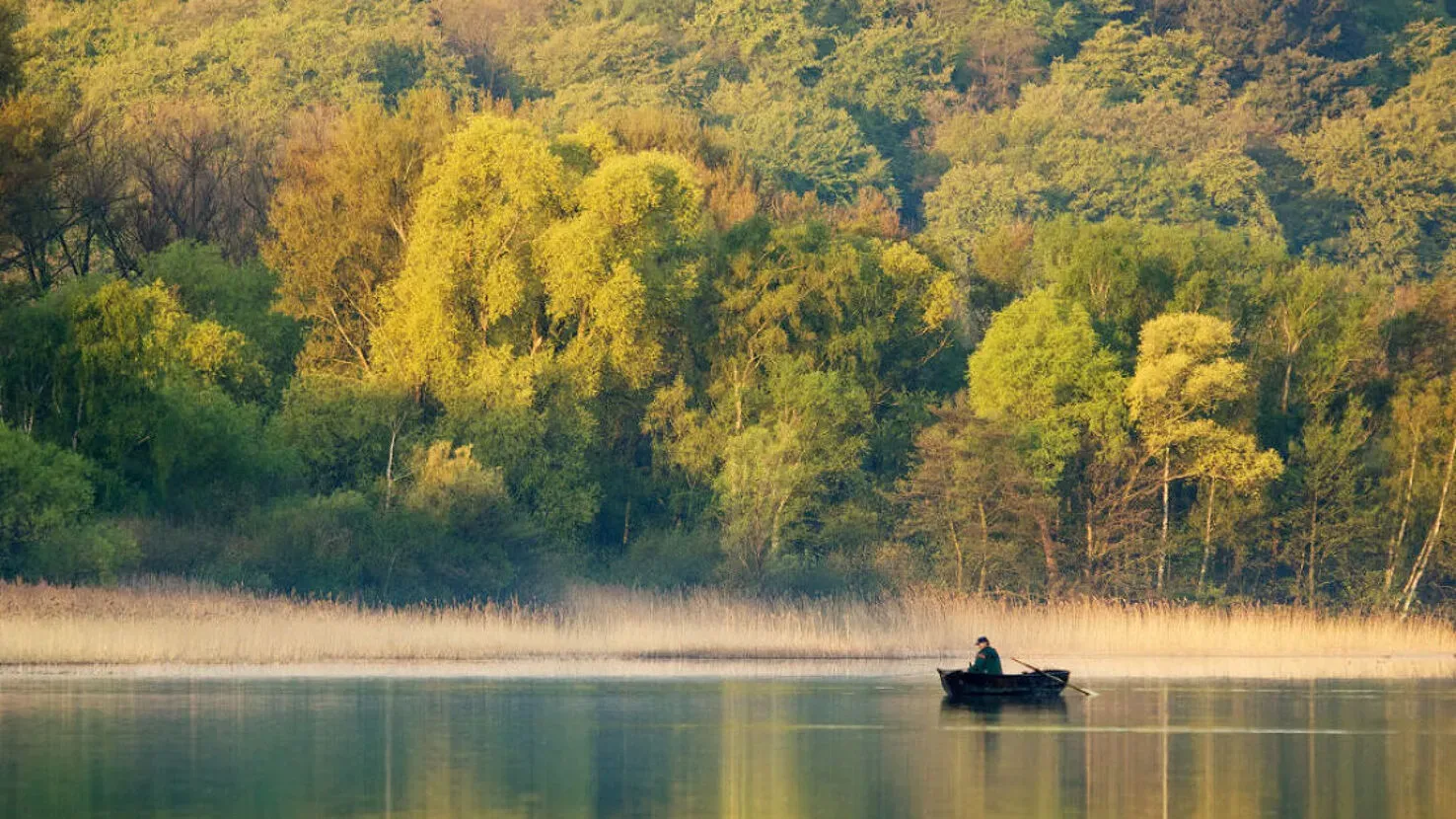 Der Rursee mit einem Dampfer und umliegender grüner Landschaft in der Eifel