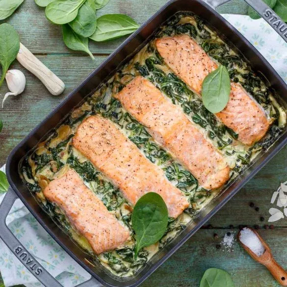 Detailaufnahme des Lachses auf Spinat