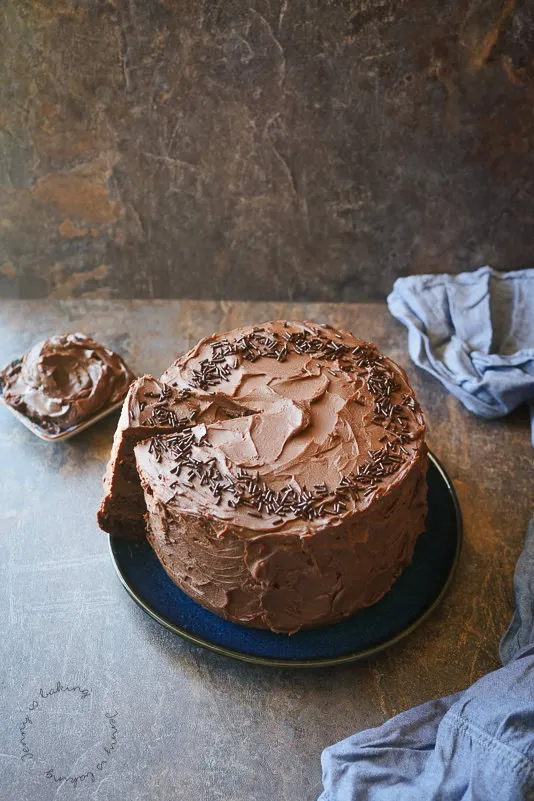 Detailaufnahme einer Schoko-Zucchini-Torte, kunstvoll bestrichen mit cremiger Schokoladenganache.