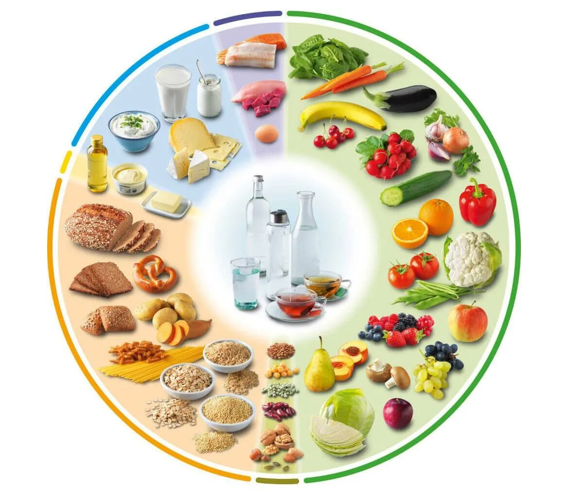 DGE-Ernährungskreis