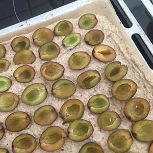 Die frischen Pflaumen werden gleichmäßig auf dem Kuchenboden verteilt