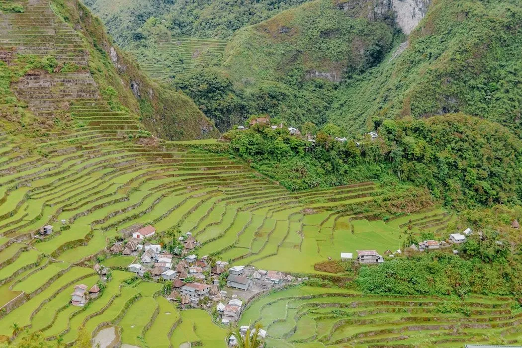 Die Reisterrassen Banaue auf Luzon