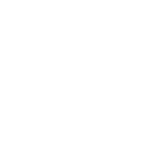 Digitale Belegverarbeitung mit Lexware Office für eine effiziente Buchhaltung