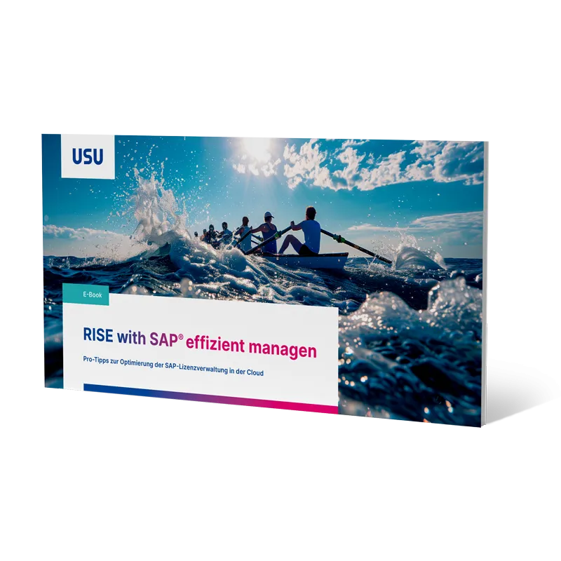 E-Book Cover: Effizientes Management und Lizenzoptimierung von SAP Cloud-Verträgen und RISE with SAP