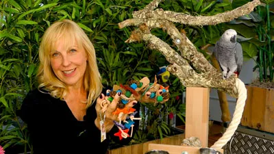 Ein Graupapagei in einem geräumigen Käfig